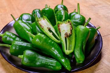 Fresh green mild padron pepper pementos, ready for grill or to be fried with olive oil, traditional snack in Galicia, Spain