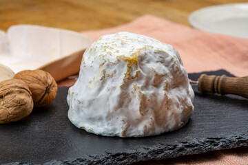 Cheese collection, soft cow French cheese with mold Gaperon artisanal lavored with cracked peppercorns and garlic produced in Auvergne