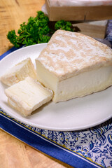Piece of french soft-ripened white mold cow milk cheese brie produced in Seine-et-Marne region, France