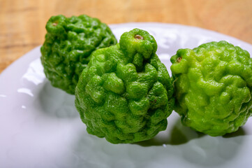 Citrus hystrix, kaffir lime citrus fruit native to tropical Southeast Asia. Fruit and leaves used in Southeast Asian cuisine, essential oil is used in perfumery for intense citrus fragrance.