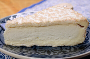 Piece of french soft-ripened white mold cow milk cheese brie produced in Seine-et-Marne region, France