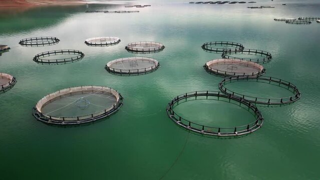 fish farms on the lake