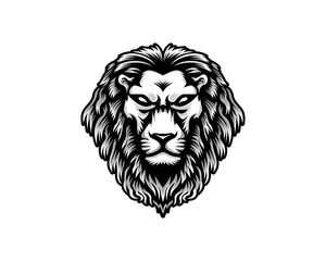 Obraz premium Lion Head