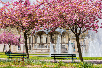 Le printemps place Wilson