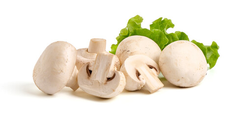 Champignons, close-up, isolated on white background.