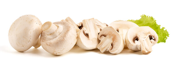 Champignons, close-up, isolated on white background.