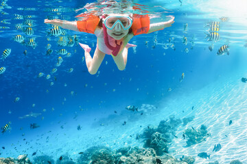 A happy, little girl with water wings snorkeling in the tropical, blue sea with colorful fish,...