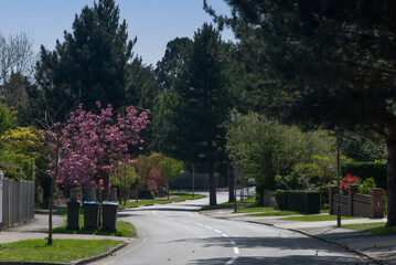Streets of Surbiton, Greater London, bin day. 
