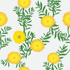 Marigold Garden Seamless Repeating Pattern