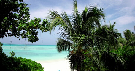 Coast with palm trees, white sand and turquoise ocean. Tropical beach on a sunny day. Bright green...