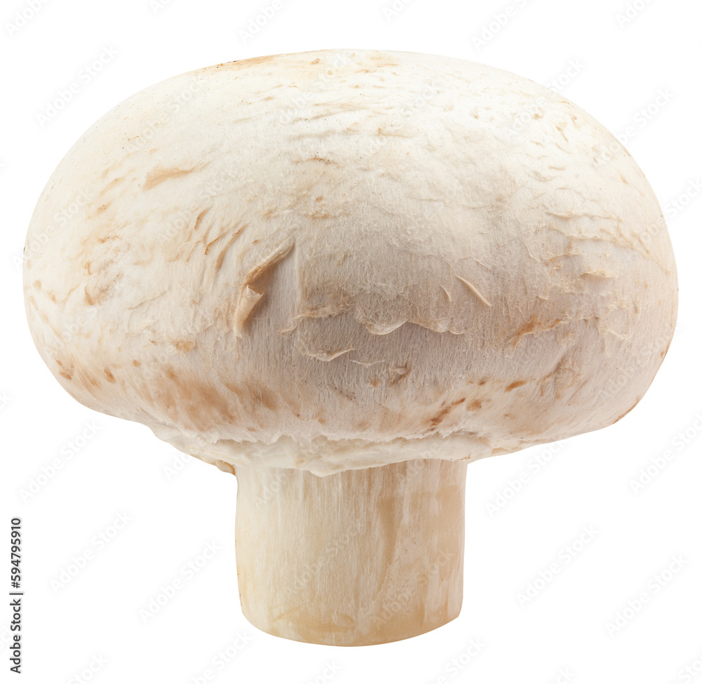 Wall mural champignon, mushroom, isolated on white background, full depth of field