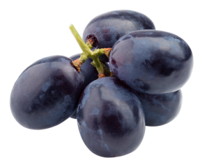 purple grape, isolated on white background, full depth of field