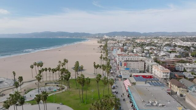 Amazing aerial footage of Venice beach. Sandy beach with relaxing zone, palm trees and skatepark. Los Angeles, California, USA