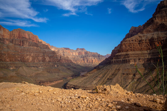 Bottom of the Grand Canyon