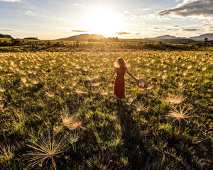 Fototapeta premium Silhueta de mulher e de palipalan florido (também conhecido como chuveirinho do Cerrado), no entardecer, na Chapada dos Veadeiros, em Alto Paraíso de Goiás