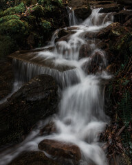 waterfall in the forest