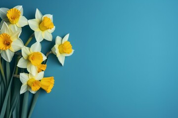 Daffodil flowers on  blue background. Concept of St. David's Day. World Daffodil Day. Generative AI