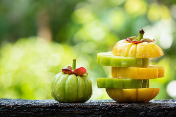 Garcinia atroviridis or Garcinia fruits on nature background.