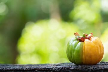 Garcinia atroviridis or Garcinia fruit on nature background.