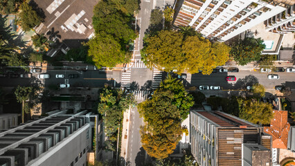 Bairro Higienópolis São Paulo Avenida Angélica Ruas Parque Buenos Aires Prédios Residenciais...