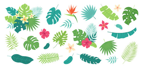 Set of tropical leaves and exotic flower. Palm, banana leaf, hibiscus, plumeria flowers, bird of paradise. Bouquets with tropical flowers. Vector flat cartoon illustration.