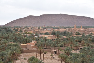 Obraz premium Oasis of Figuig, Oriental province, Eastern Morocco