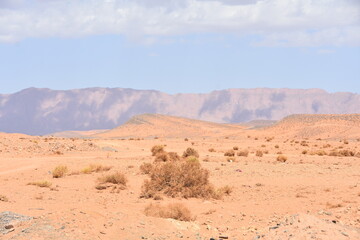 Fototapeta na wymiar Oasis of Figuig, Oriental province, Eastern Morocco