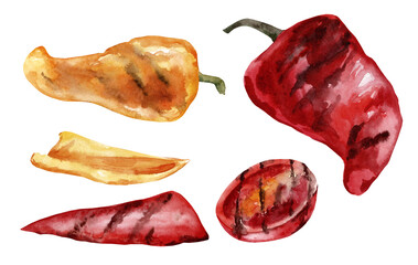 Baked vegetables. Grilled pepper and tomato watercolor illustration set.