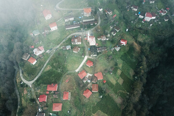 aerial view of the nature