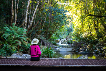 a magical scene of pretty girl in pink sweater and hat admiring a little creek in dense tropical jungle in australia; relaxing in the wild forest with lush vegetation