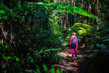 Girl in pink tracksuit hikes in Gondwana rainforest and admires beautiful tree ferns and other...