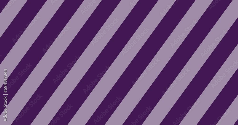Wall mural seamless loop abstract striped animation. 4k resolution. purple and white line swipe transitions mot