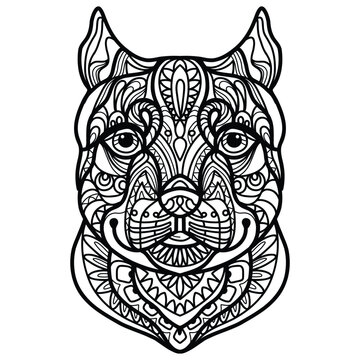 Pitbull dog head coloring book page vector illustration
