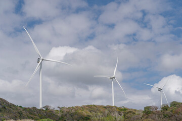 Panoramic view of a wind farm or wind farm with tall wind turbines to generate electricity. Green...