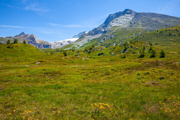 Fototapeta na wymiar Scenic view from the Simplon pass in Switzerland