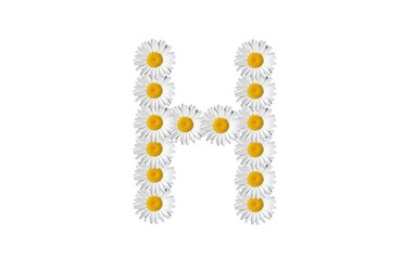 floral alphabet letter a