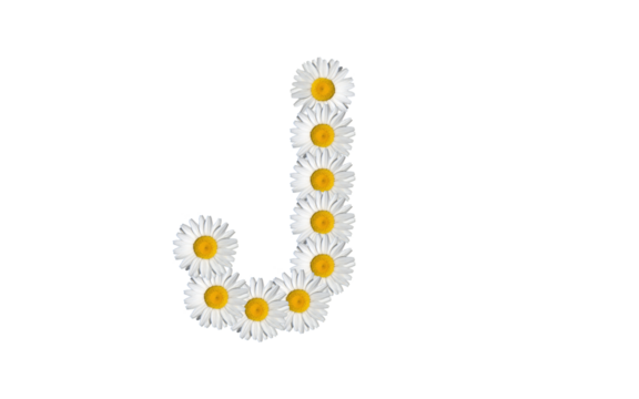 floral alphabet letter a