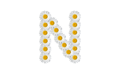 floral alphabet letter a