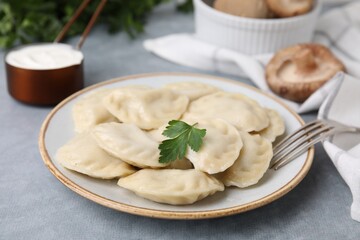 Delicious dumplings (varenyky) with tasty filling and parsley served on light grey table, closeup