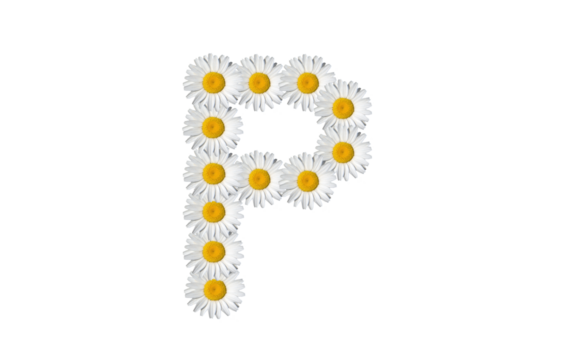 floral alphabet letter a