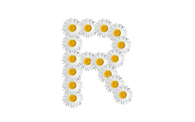 floral alphabet letter a