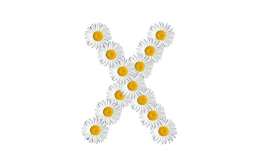 floral alphabet letter a