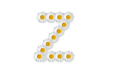 floral alphabet letter a