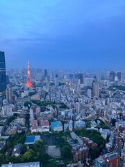 Tokyo aerial sky view from Roppongi, you can find Shinjuku and Shibuya area, and Tokyo tower. Business central town in Tokyo, Japan.