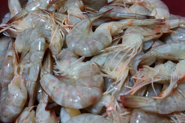 Photo of fresh raw prawns on a plate ready to be cooked
