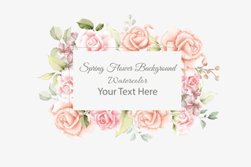 elegant  watercolor  spring flower  background