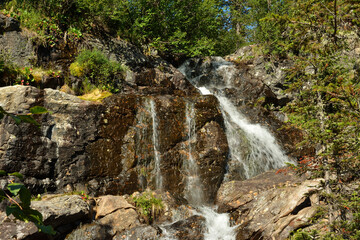 Fototapeta na wymiar A stormy stream cascades from stone ledges with thickets of bushes on a sunny summer day.