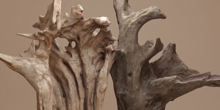 3d rustic old wood display for perfume and cosmetic products background.3d rendering illustration