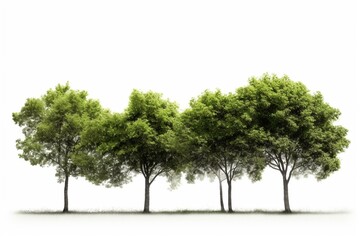 Fototapeta na wymiar Perfect Group of Trees isolated on a white background. Generative AI