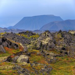 Landscape at Lake Myvatn. Europe, Iceland